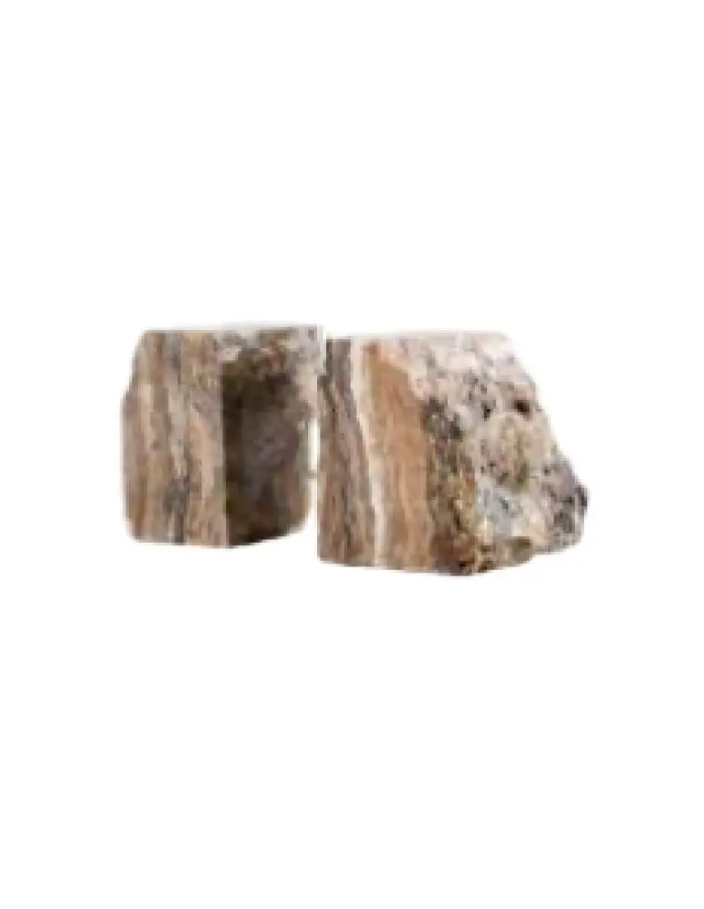 Petrified Wood Bookend